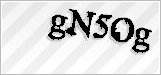 CAPTCHA security code