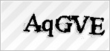 CAPTCHA security code