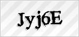 CAPTCHA security code